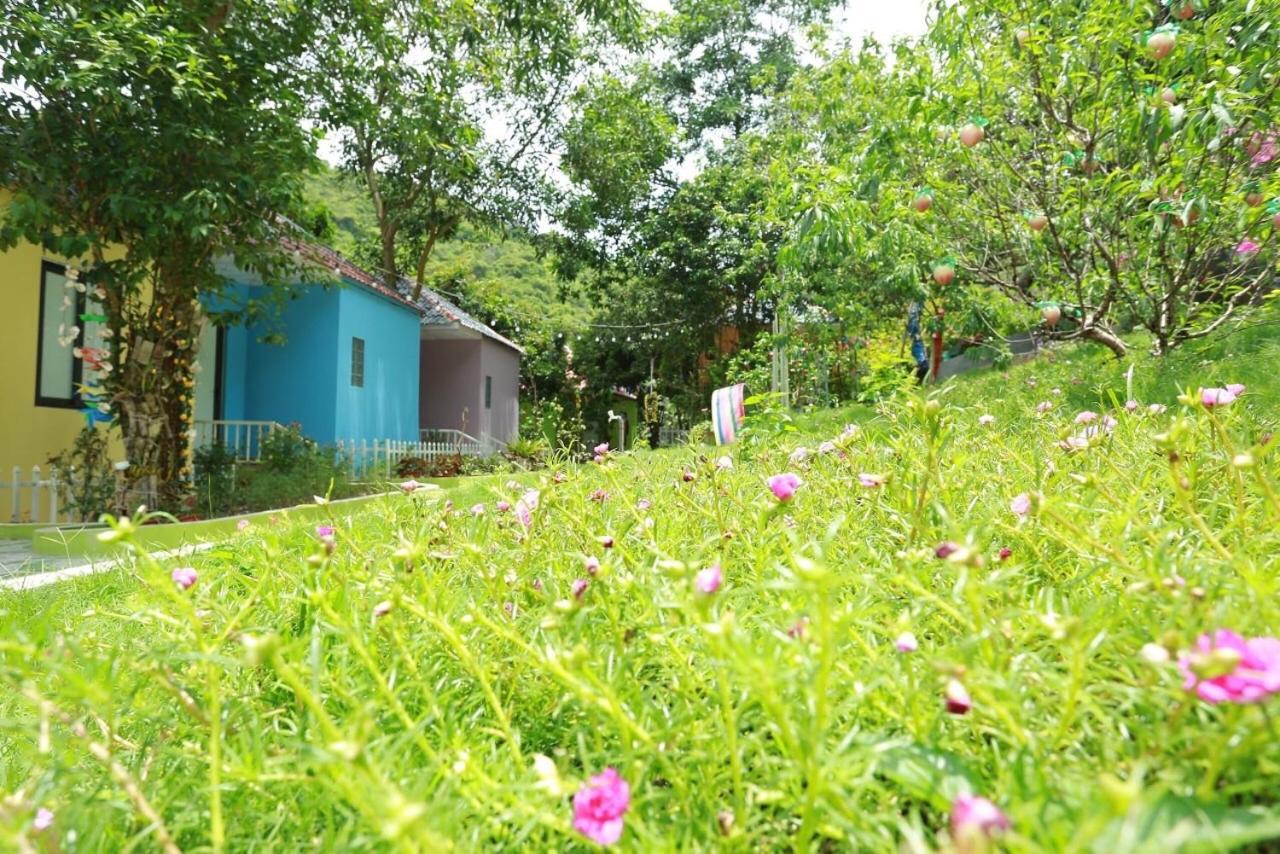 Windy Hill Catba Homestay Hai Phong Esterno foto